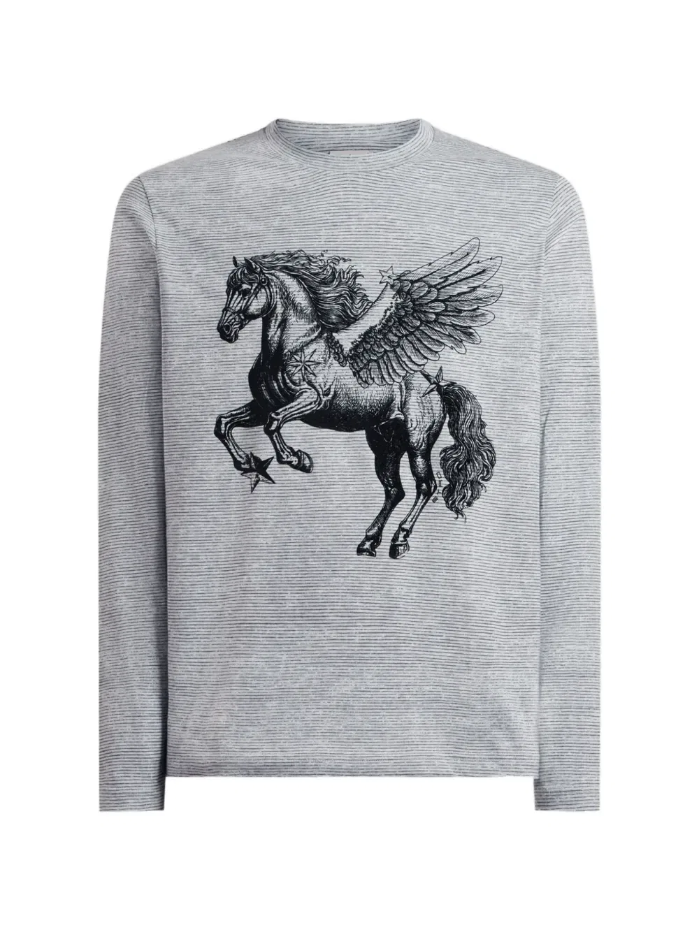 Хлопковый свитер с нанесенным принтом Pegaso Etro, серый