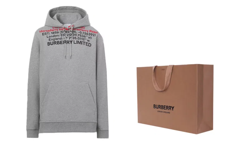 Мужской худи с принтом Horseferry Location Burberry, Light Heather Gray — фото 4