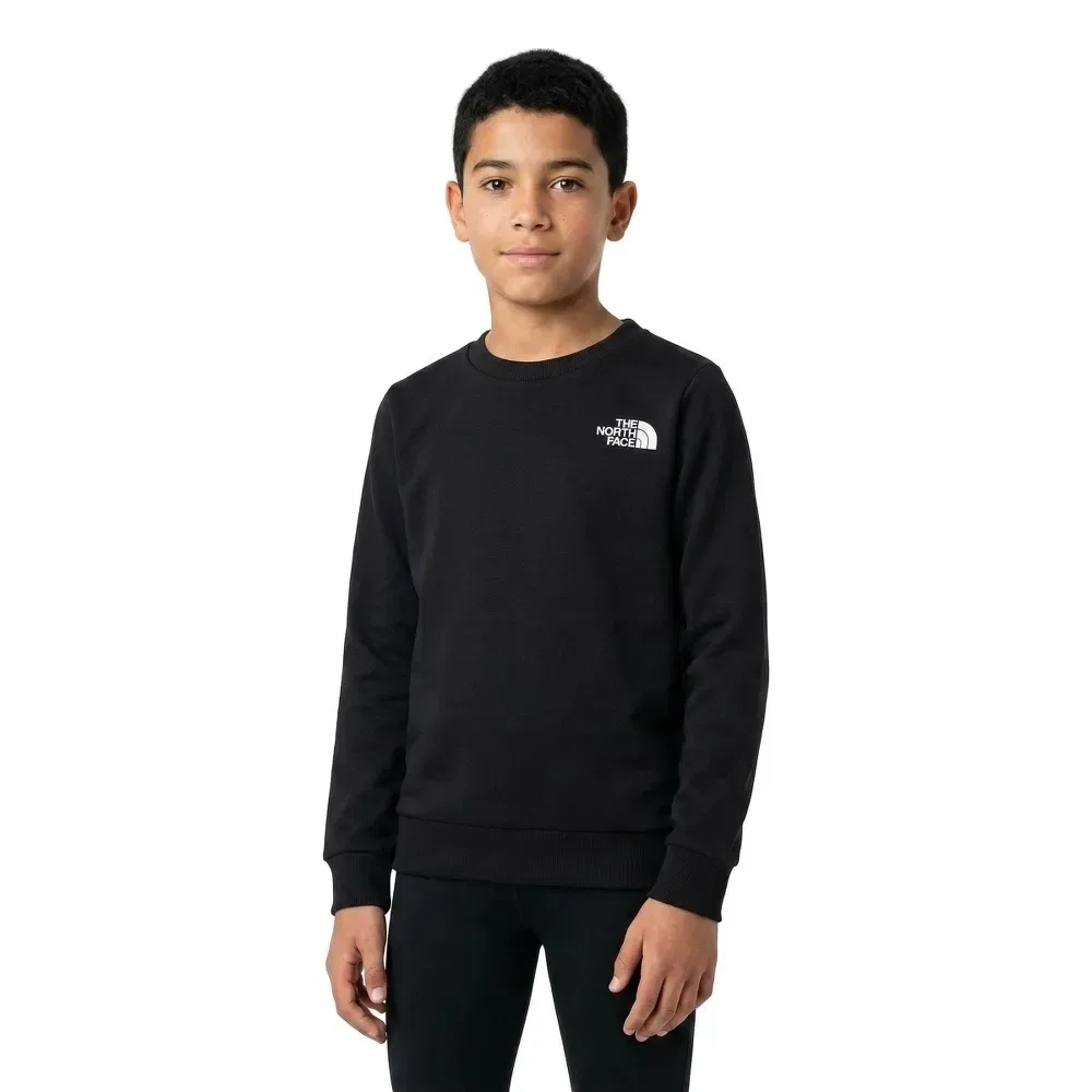 Детский свитшот для мальчиков Simple Dome The north face, Black — фото 3