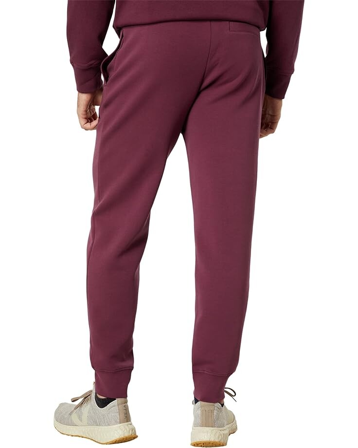 

Брюки Armani Exchange Drawstring Jogger Sweatpants, цвет Grape Wine