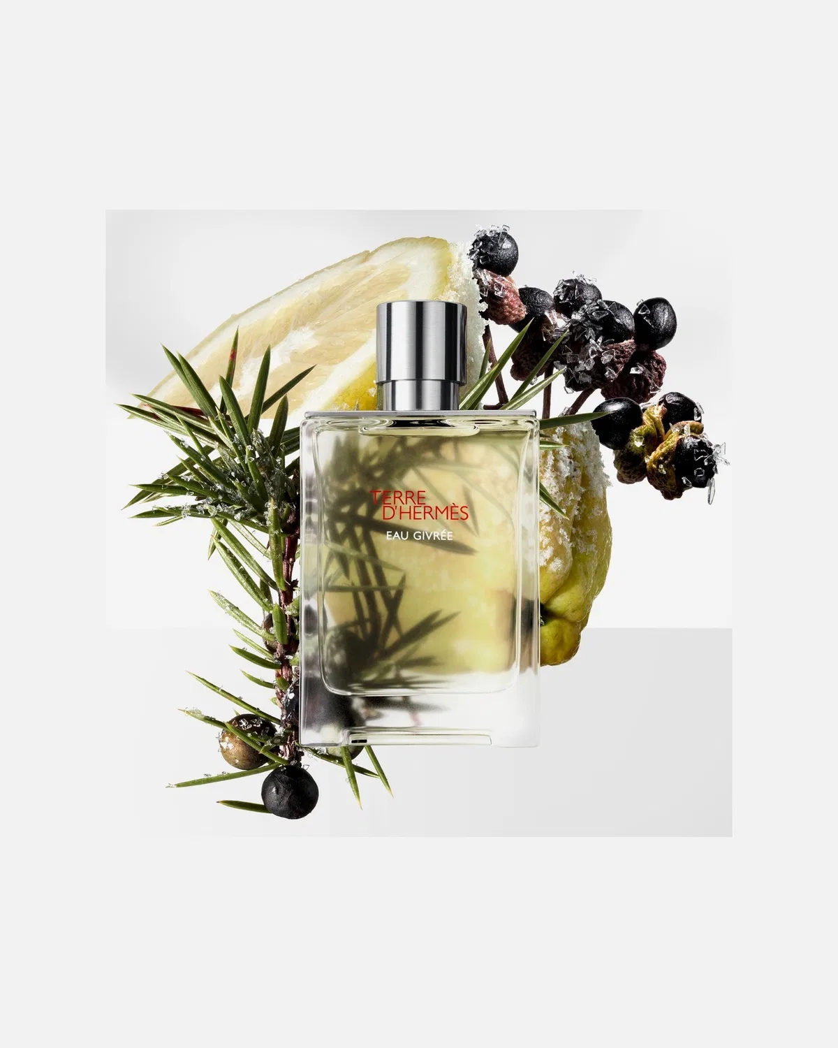 Парфюмированная вода terre d'hermès eau givrée, 100 Ml — фото 4