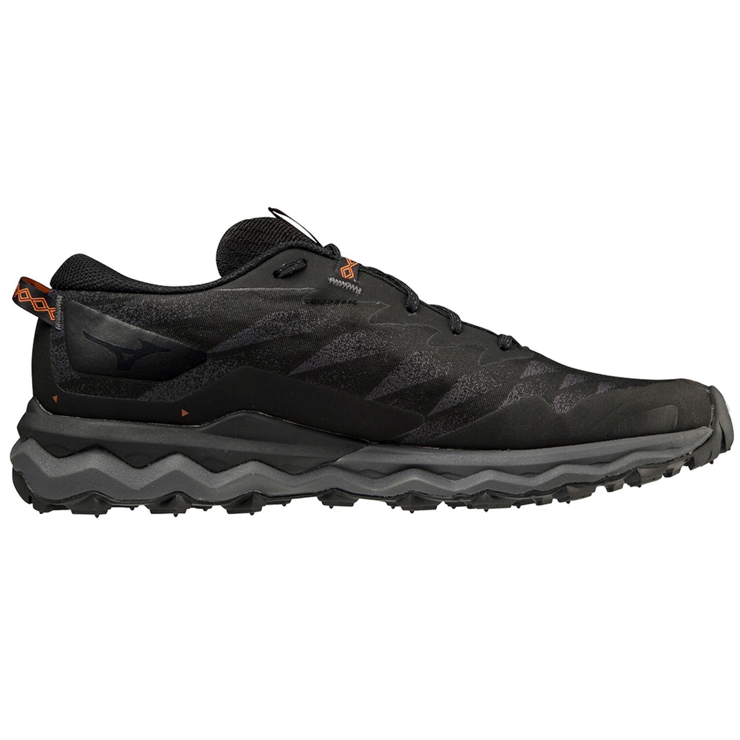 

Кроссовки мужские Mizuno - Daichi 7 GTX черные