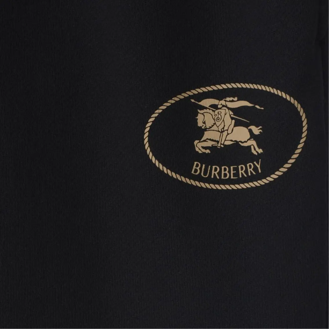 Спортивные штаны Burberry knight stamp, хлопок, черный — фото 3