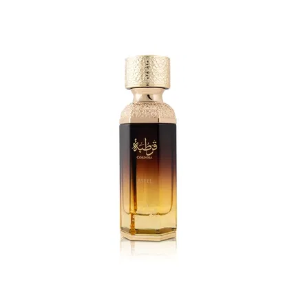 Парфюмерная вода Mamlakt Al Oud Cordoba Aseel For Men, 100 мл