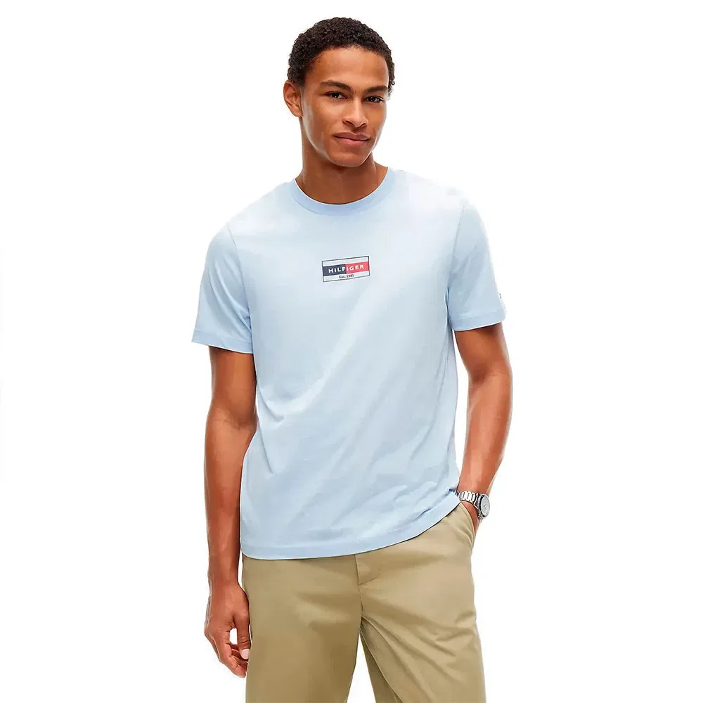 Мужская футболка с принтом Tommy hilfiger Brand Love Small Flag, Blue
