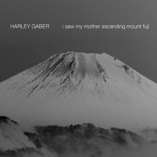 

CD диск Gaber / Gilbert / Cummisky: I Saw My Mother Ascending Mount Fuji