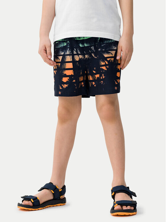 

Шорты для плавания regular fit 4F, мультиколор