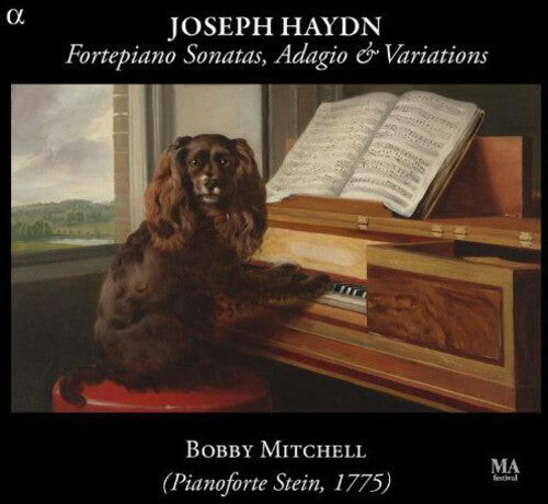 

CD диск Haydn / Mitchell: Fortepiano Sons Adagio & Variations