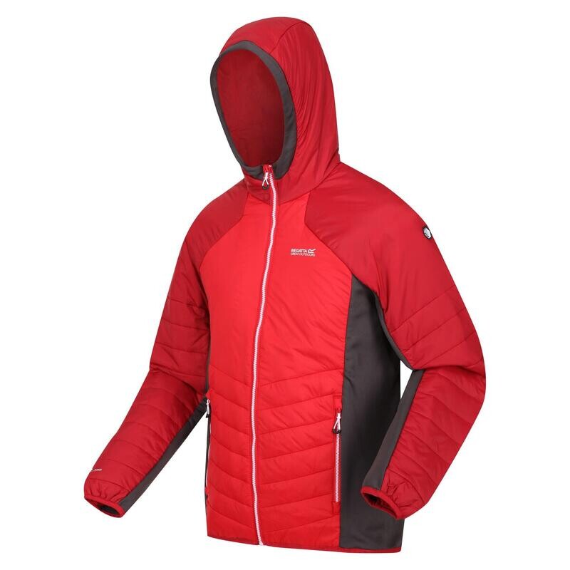 

Trutton мужская прогулочная куртка REGATTA, цвет braun