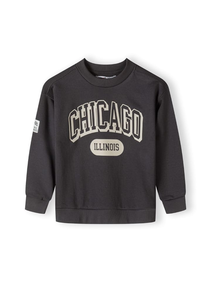 

Толстовка Minoti