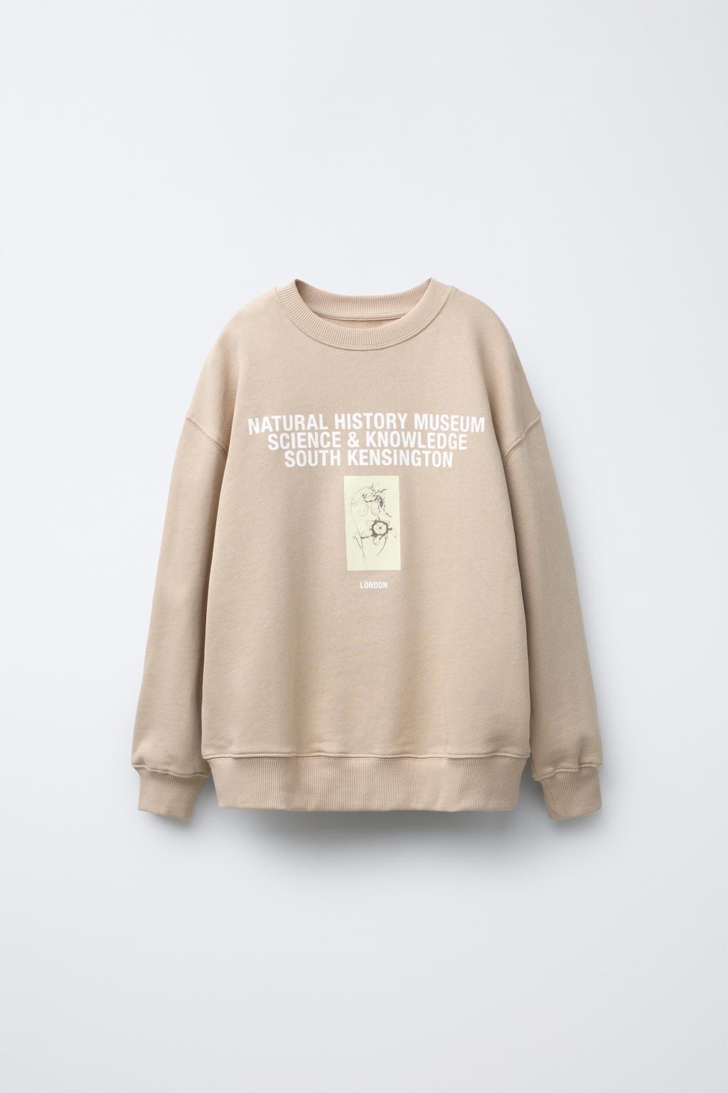 

Лондонский музей естественной истории толстовка с принтом ZARA, цвет Beige-brown