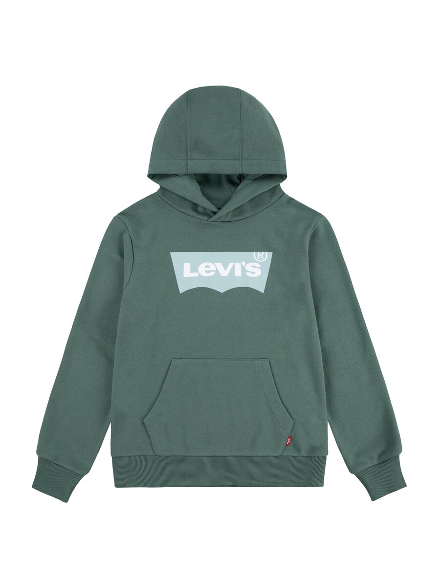 

Худи Levi's Kids Regular fit Sweatshirt Batwing, темно-зеленый