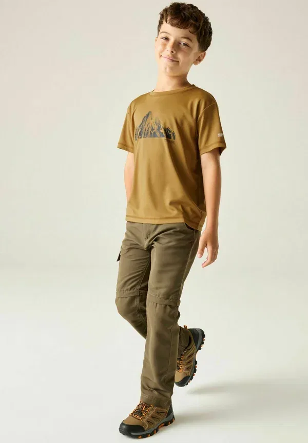 Футболка Regatta Alvarado short sleeved graphic t-shirt, коричневый