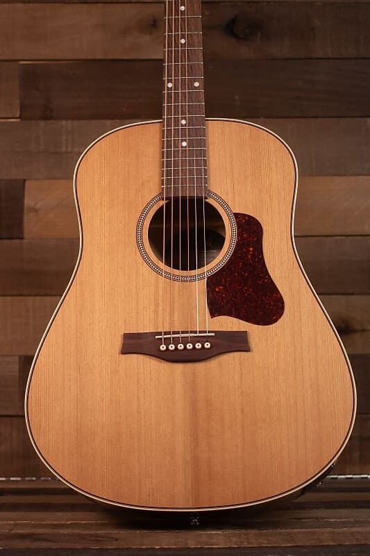 

Акустическая гитара Seagull Coastline Momentum HG Acoustic/Electric