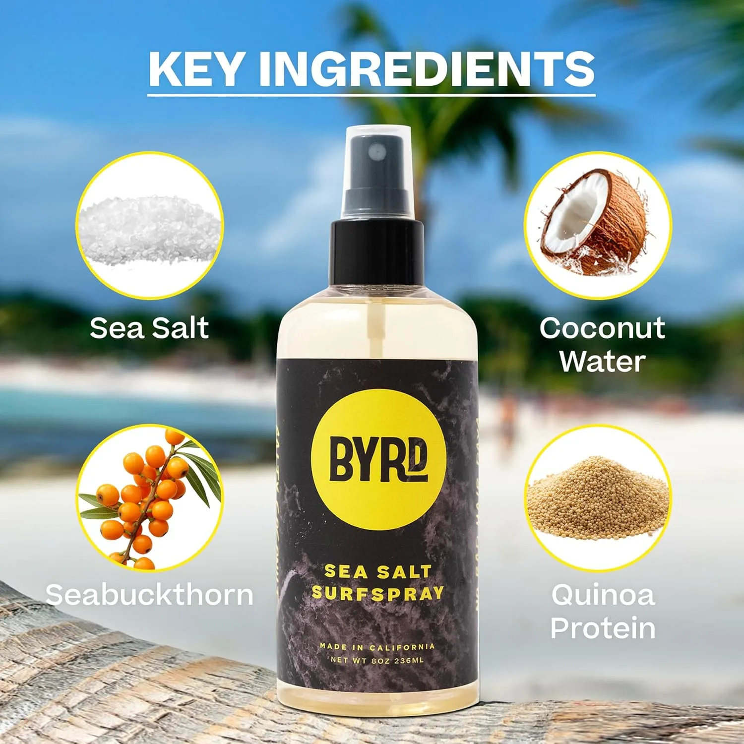 Byrd Sea Salt Surfspray, аромат соленого кокоса, текстурный спрей с морской солью для объема и увлажнения мужских волос, для всех типов волос, 2 шт по 240 мл 237 мл (2 шт.) Byrd Hairdo Products — фото 3