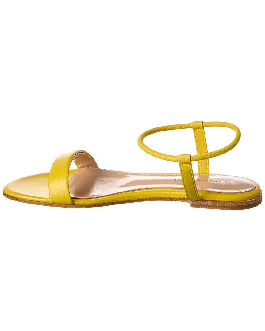 

Кожаные сандалии Gianvito Rossi Jaime, желтый