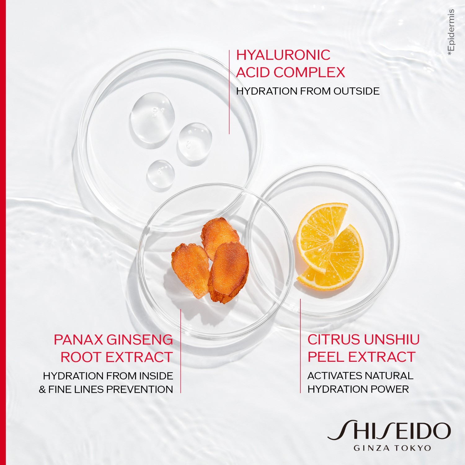 Сыворотка Shiseido, 50 мл — фото 3