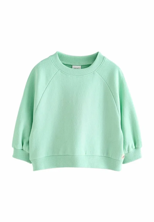 Толстовка стандартного кроя с круглым вырезом Next, Mint Green