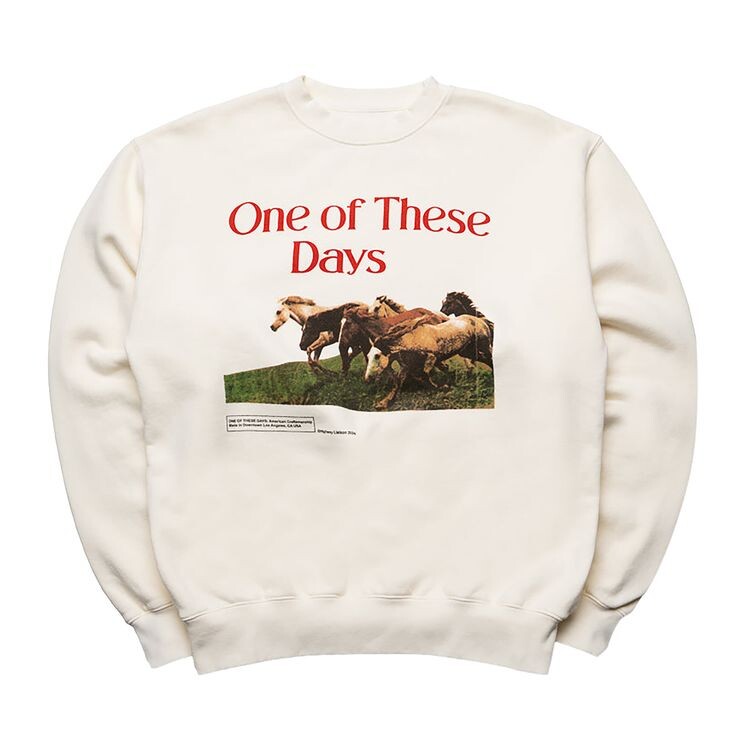 

Толстовка One Of These Days Wild Horses Crewneck Bone, белый