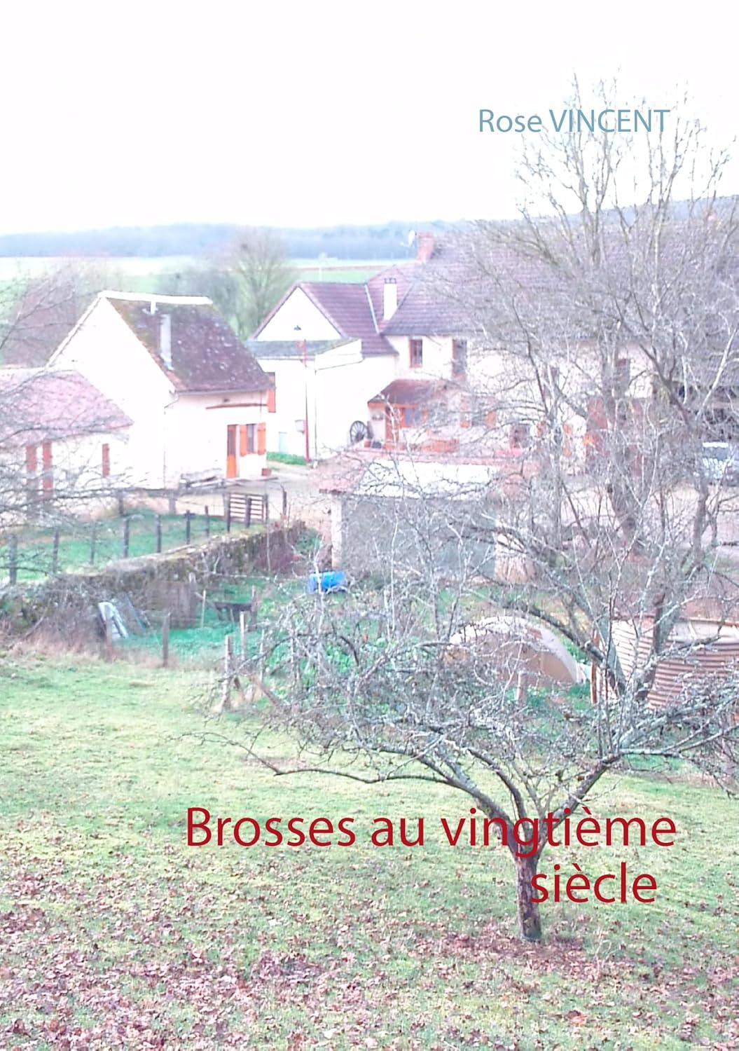 

Brosses au vingtième siècle (French Edition) (Bod - Books on Demand)