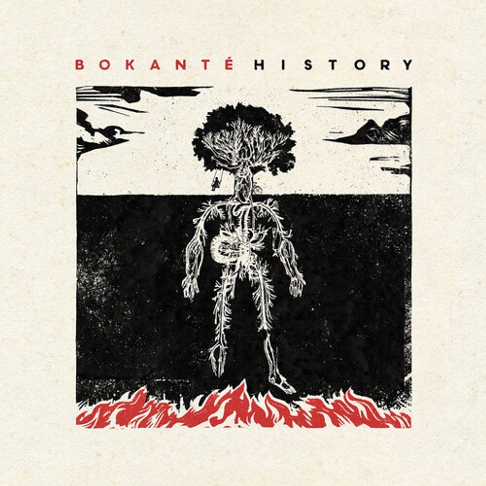 

Виниловая пластинка LP History - Bokanté