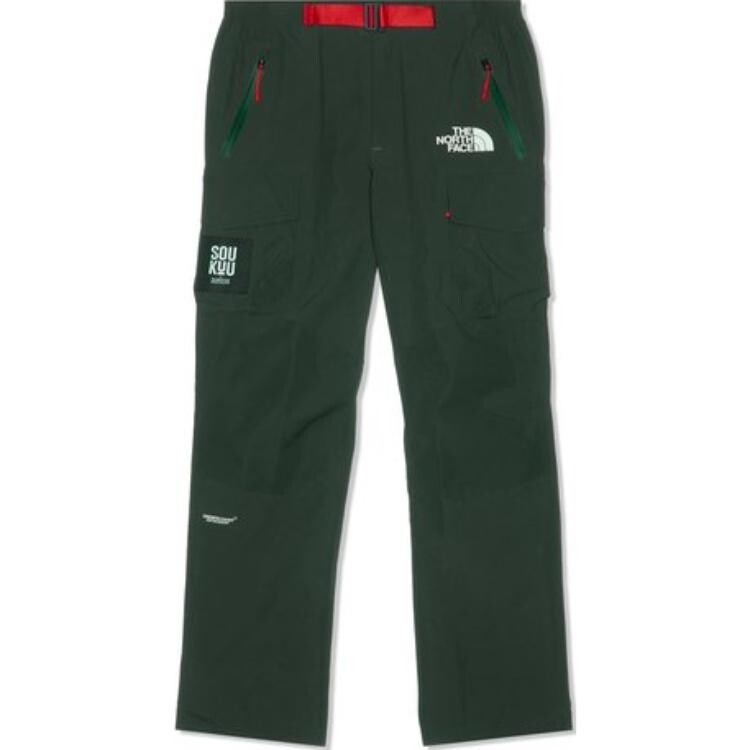 

Мужские брюки Hard Shell Deep Cedar Green The North Face, зеленый