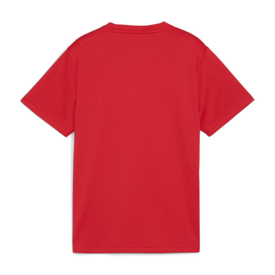 Детская футболка Puma teamGOAL Jersey Jr 658637 — фото 2