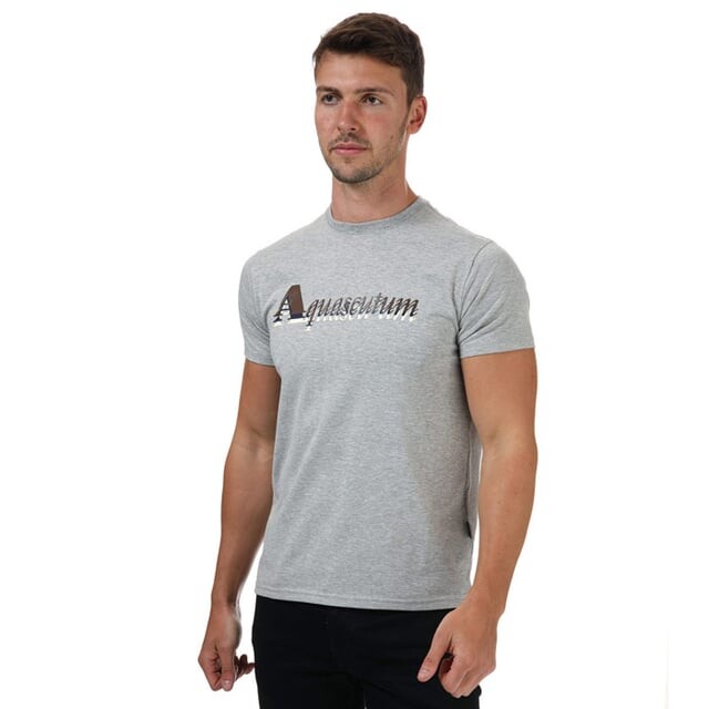 

Футболка мужская серого цвета Aquascutum, серый