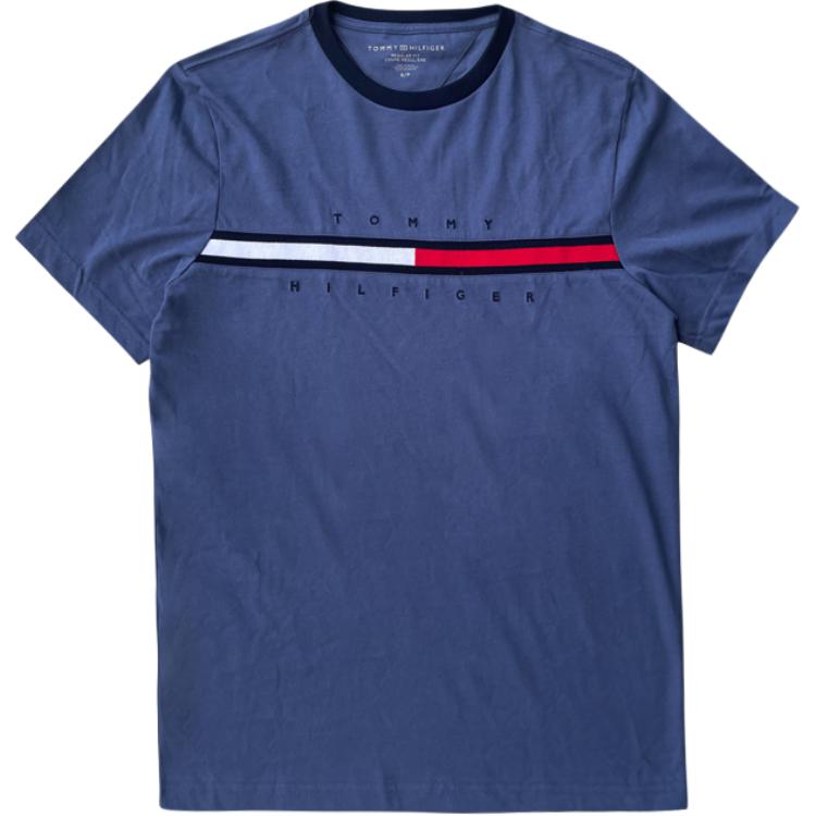 

Футболка SS25 мужская Tommy Hilfiger, синий