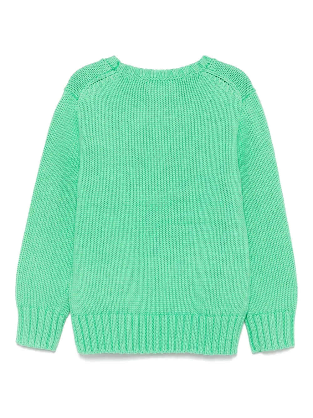Джемпер The Iconic Flag POLO RALPH LAUREN KIDS, зеленый — фото 2