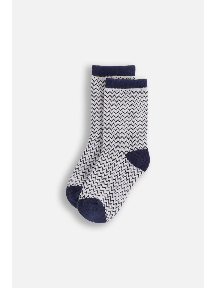 

Coccodrillo Разноцветные носки