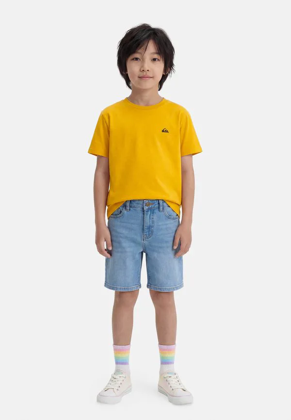 Базовая футболка унисекс Quiksilver, Mineral Yellow