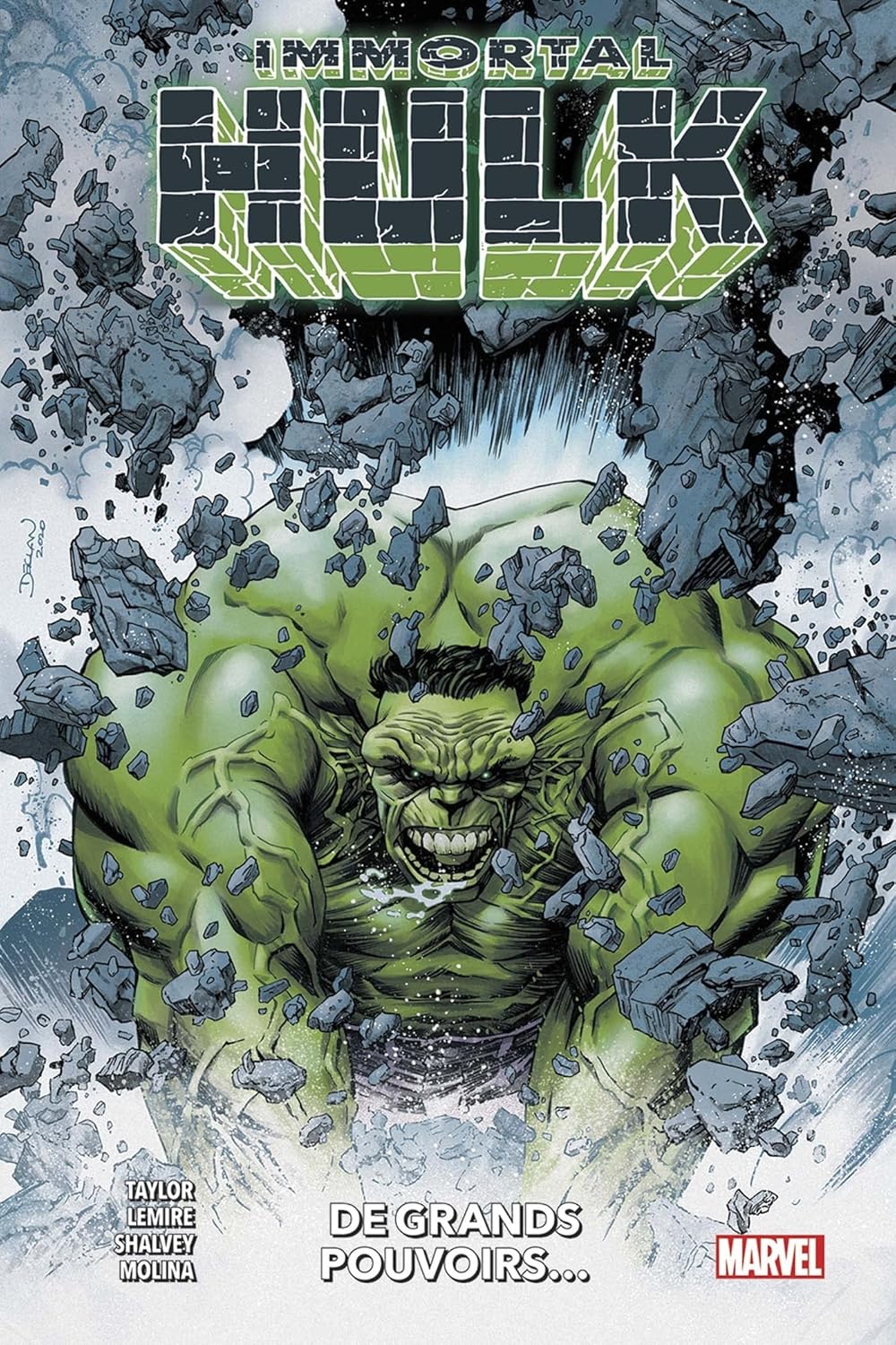 

Immortal Hulk : À grands pouvoirs (PANINI)