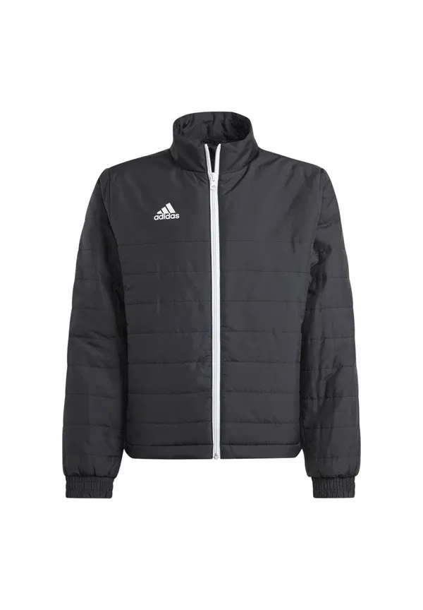 Куртка зимняя Adidas Performance Entrada, черный