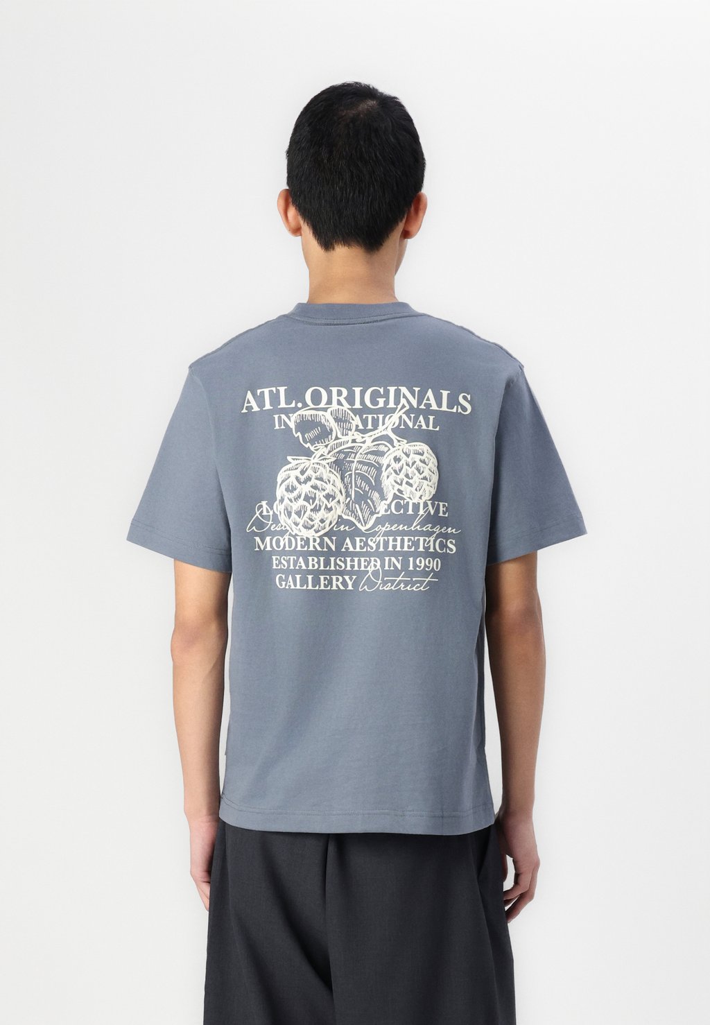 

Футболка с принтом JORISLINGTON TYPE GRAPHIC BACK TEE Jack & Jones, сине-серый
