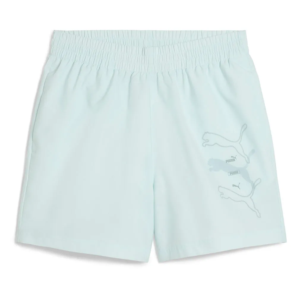 

Спортивные шорты Puma Essential Logo LAB 684673 5´´, синий