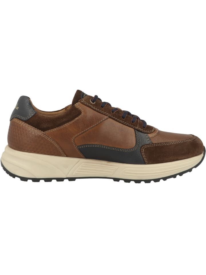 Australian Footwear Откройте для себя низкие кроссовки коричневого цвета — фото 3