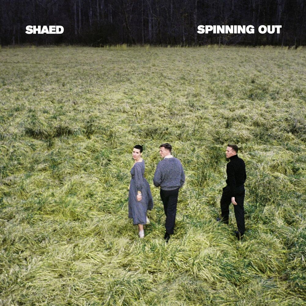 

Виниловая пластинка LP Spinning Out - Shaed