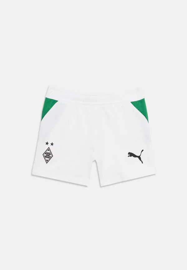 Комплект футбольный быстросохнущий Borussia monchengladbach Home Unisex Set Puma белый, зеленый — фото 3