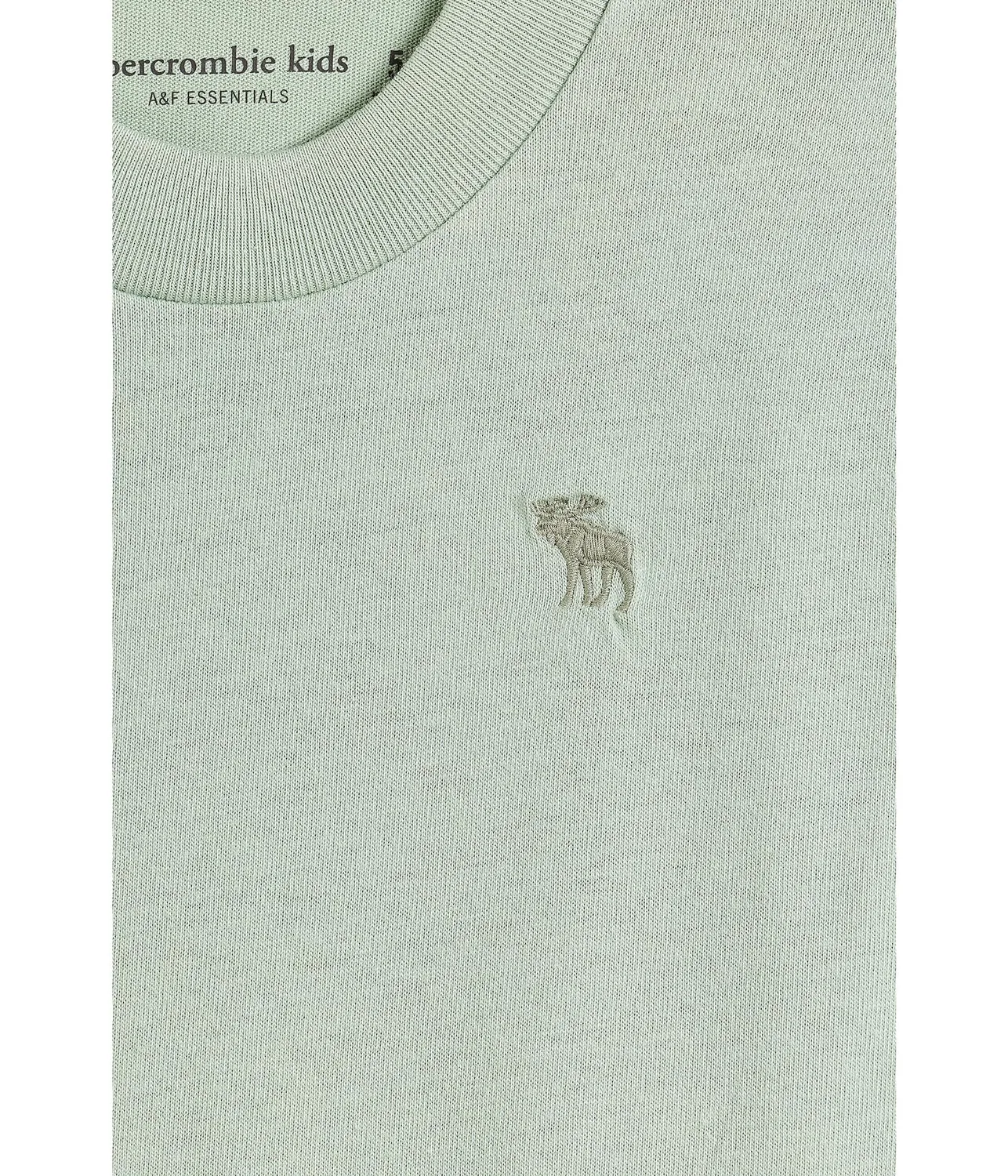 Базовая футболка с коротким рукавом (для маленьких и больших детей) Abercrombie Kids, Aqua Gray — фото 3