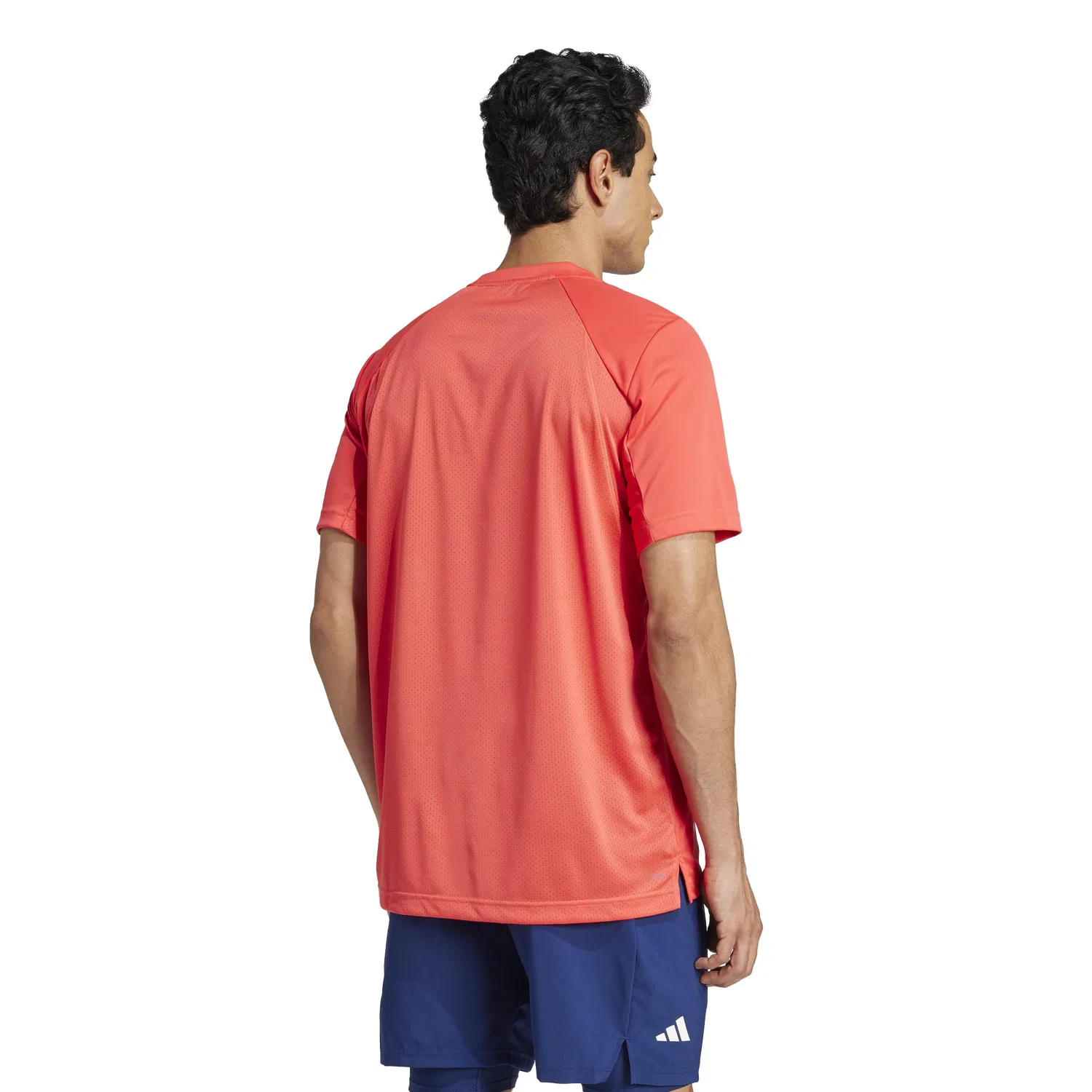 Мужская футболка с принтом Club Tennis adidas, Semi Lucid Red — фото 4