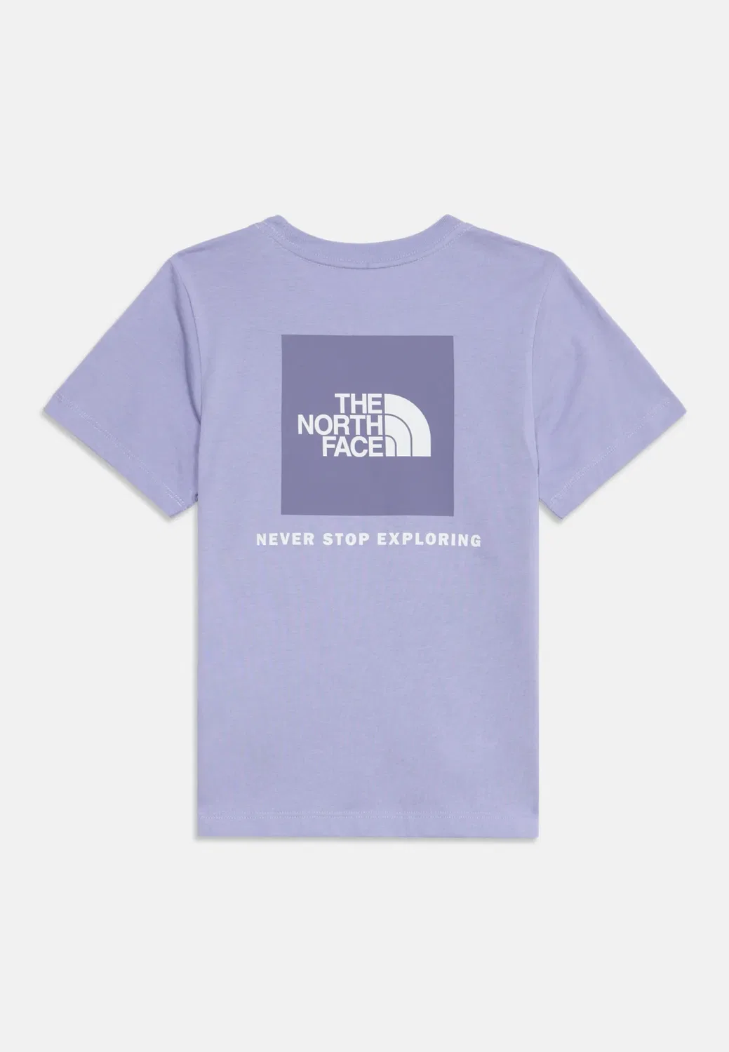 Футболка унисекс с принтом Teen evolution box The North Face, Pale Plum — фото 2