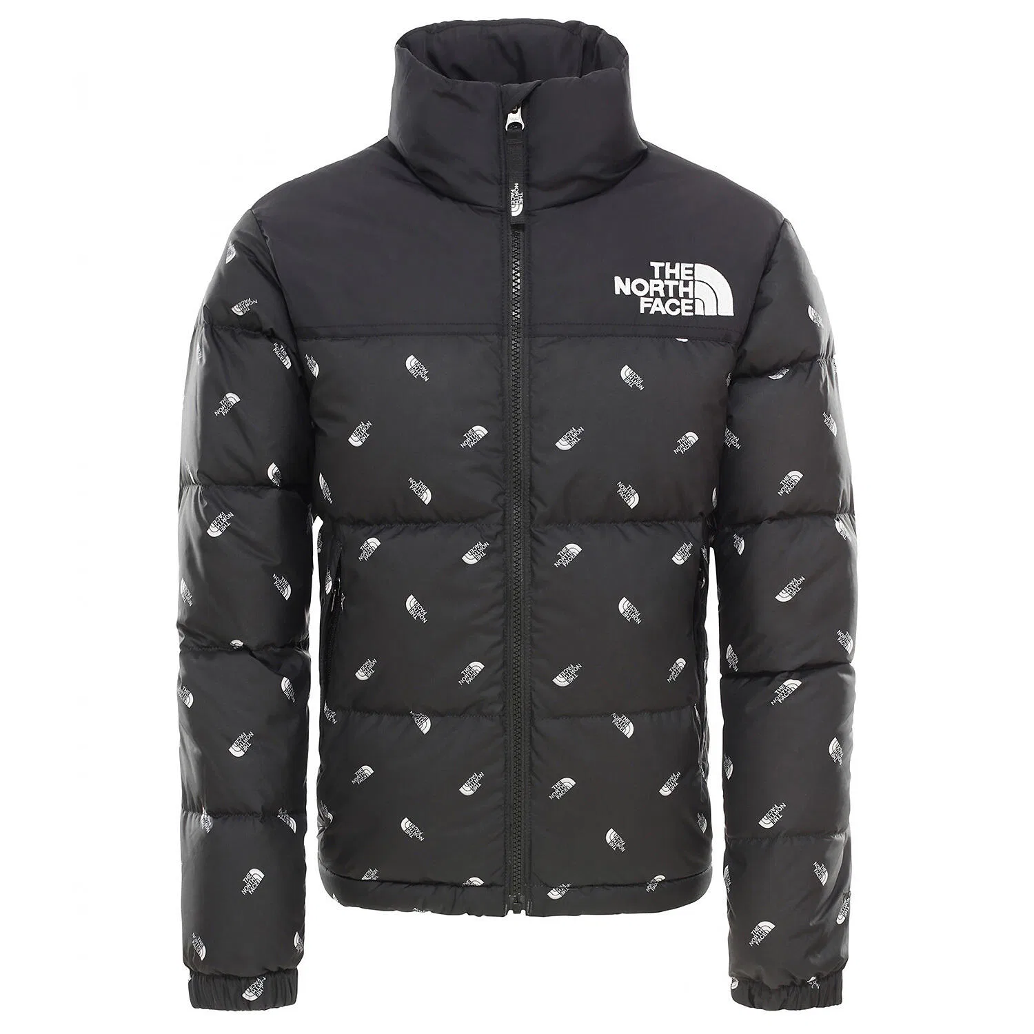 Детская куртка с длинным рукавом YOUTH RETRO NUPTSE JACKET The North Face, Schwarz Grau