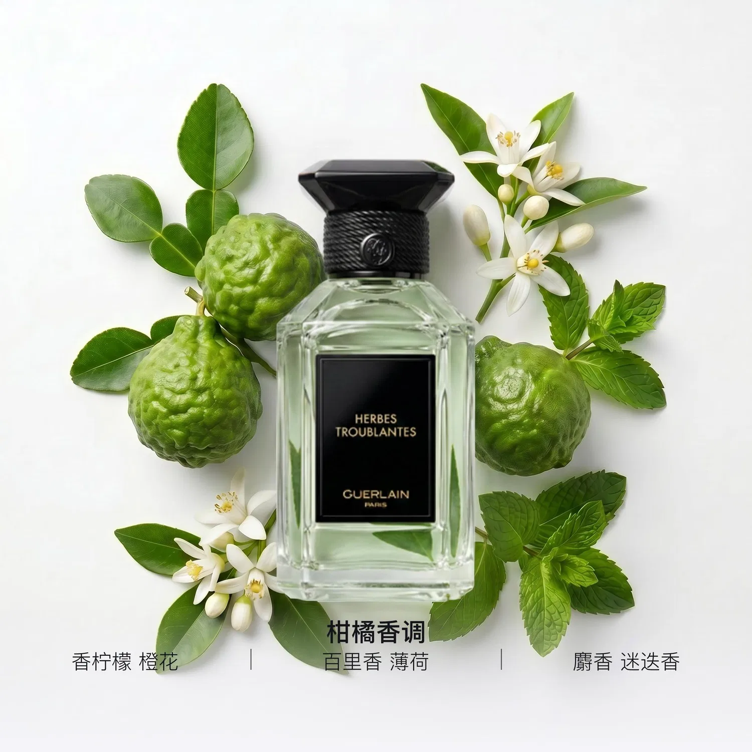 Парфюмерная вода Arts Salon Cold And Refreshing Grass, 100 мл, GUERLAIN, Citrus Floral — фото 2