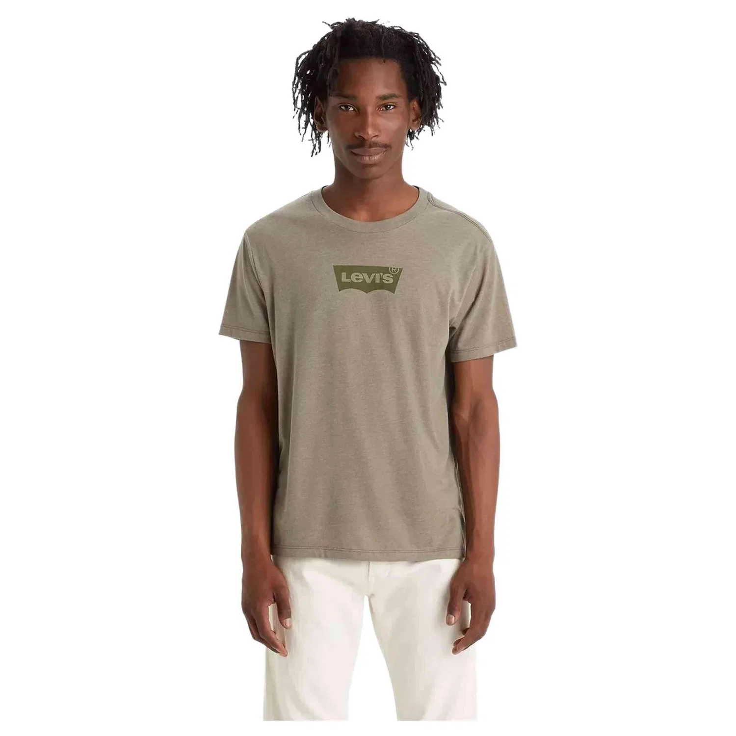 Мужская футболка с коротким рукавом Levi's Modell 22491-1446, Braun