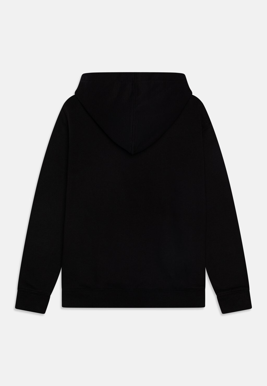 Толстовка YOUTH OAKPORT HOODIE UNISEX Dickies, цвет black — фото 2