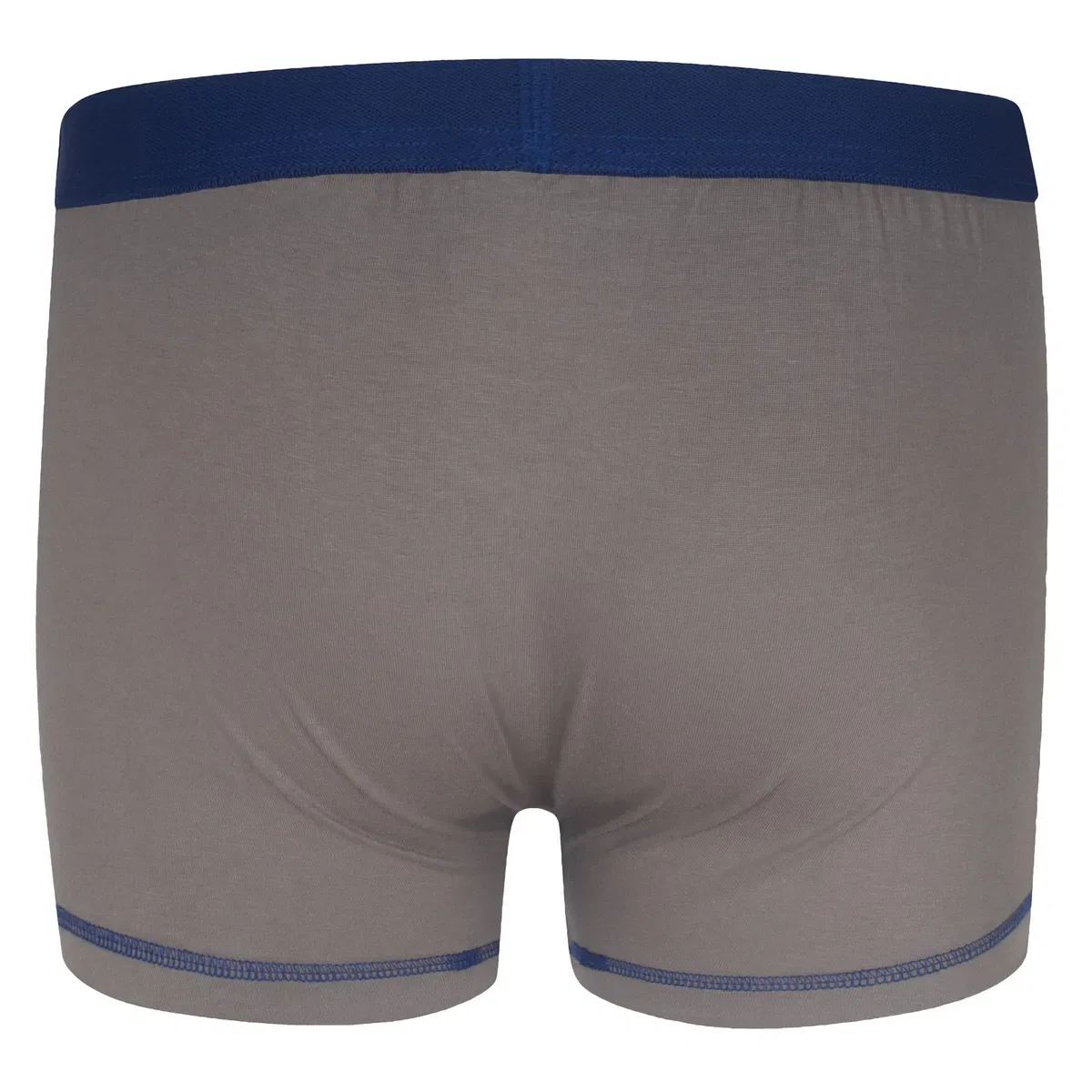 Детские боксеры Tottenham Hotspur Fc, Blue — фото 2