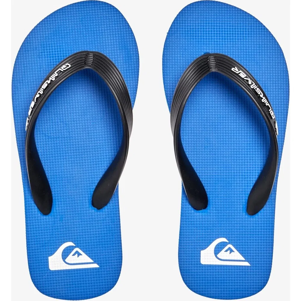 Детские спортивные сланцы для мальчиков Molokai Core Quiksilver — фото 4