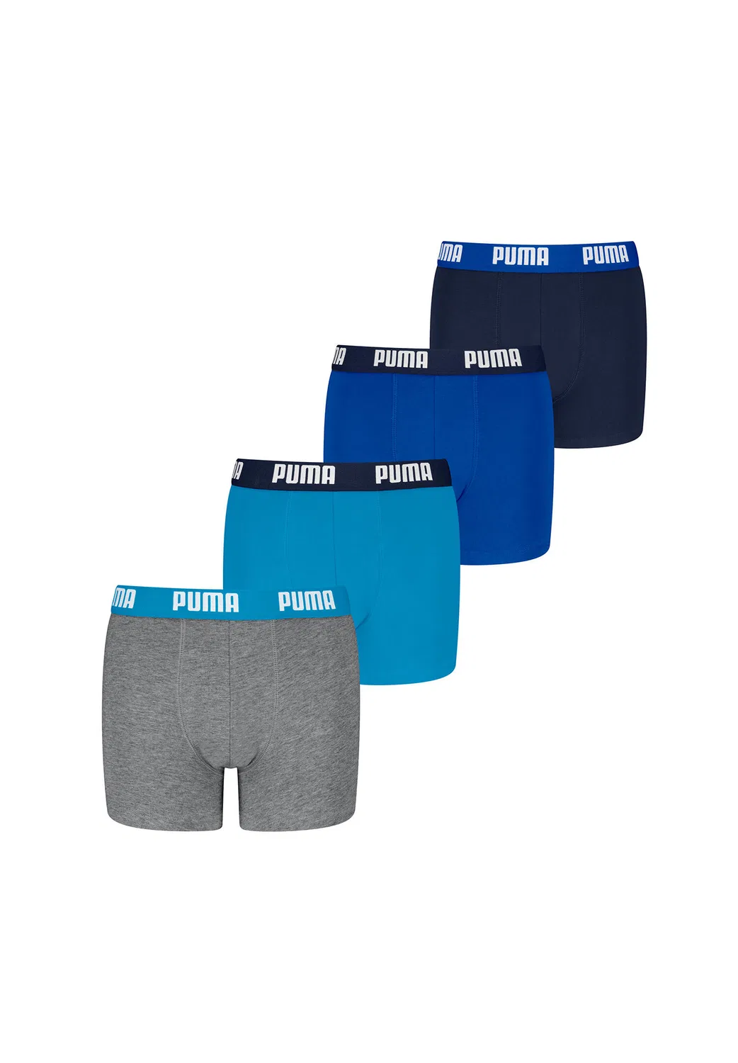 Детские боксеры с принтом Everyday Basic Boxers Puma, Bunt Petrolblau