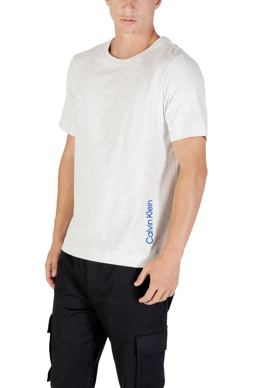 Мужская футболка с принтом SS TEE Calvin Klein, Grey — фото 4